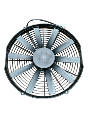 CC209 (3).jpg