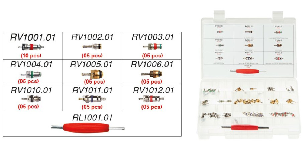 Zestaw Wentylków Do Układów Klimatyzacji 9 Rodzajów Z Wkrętakiem | RK1331