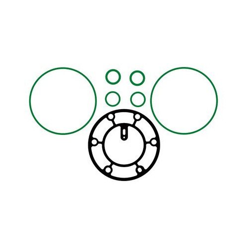 Uszczelnienie Korpusu Sprężarki Delphi Harrison V5 | 1203109