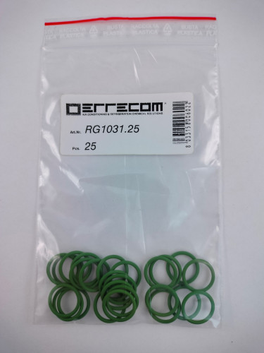 ORING RG1031